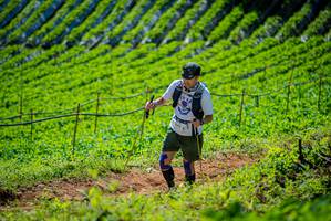 BIB: 
                            <button type="button" onclick="openModal(19163018)" class="btn btn-primary btn-sm float-right btn-popup" data-toggle="modal" data-target=".modal-high-quality">
                        <i class="fas fa-shopping-cart"></i> Add to Cart
                    </button>
                                            <button type="button" onclick="isThisMe(19163018, true)" class="btn btn-success btn-sm float-right btn-popup btn-isme hidden" data-toggle="tooltip" data-placement="bottom" title="นี่คือรูปของคุณใช่ไหม คลิกที่นี่เพื่อเอาเข้าอัลบั้ม">
                        <i class="fas fa-plus"></i> Add to album
                    </button>
                    <button type="button" onclick="isThisMe(19163018, false)" class="btn btn-warning btn-sm float-right btn-popup btn-isnotme hidden">
                        <i class="fas fa-ban"></i> Remove from album
                    </button>